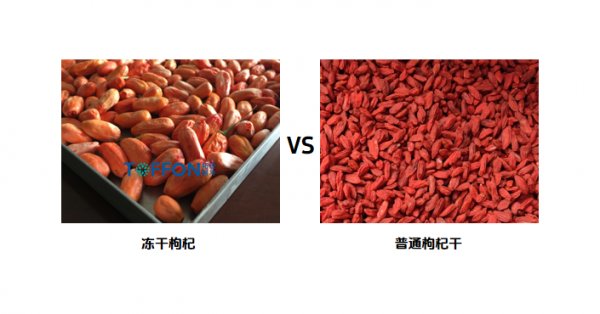 凍干寧夏枸杞，保留營(yíng)養(yǎng)和鮮紅